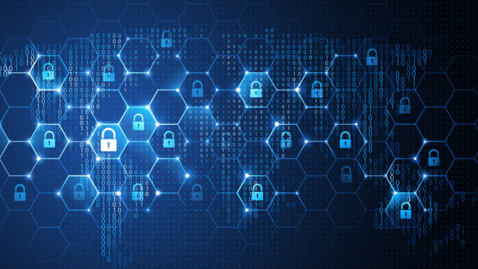 Security Environment