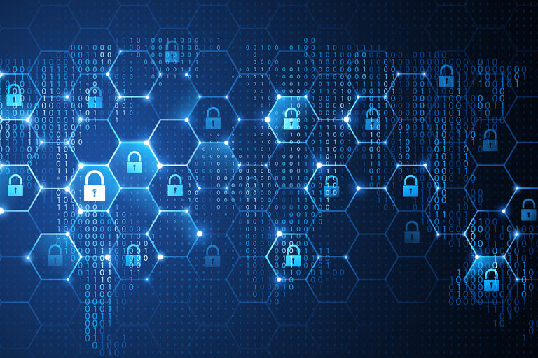 Security Environment