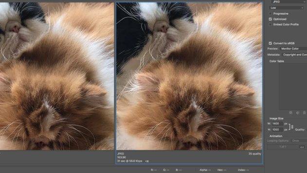 Optimize Images in WordPress Photoshop