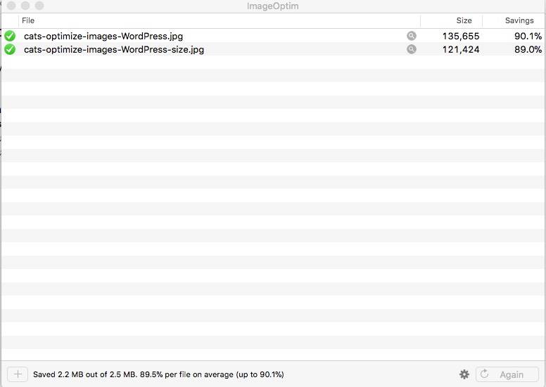 Optimize Images WordPress