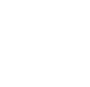 WordPress optimization Sunny HQ