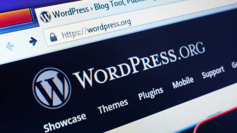 wordpress automatic updates