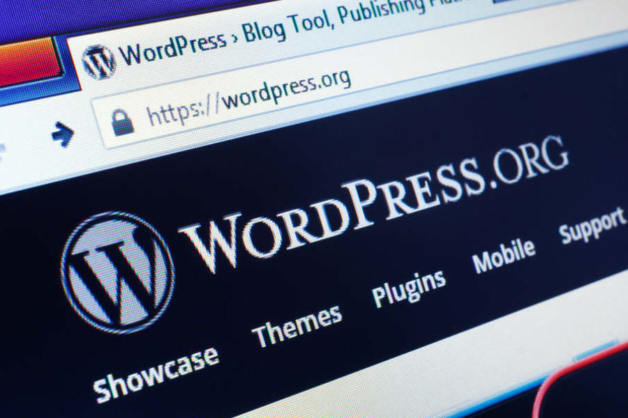 wordpress automatic updates
