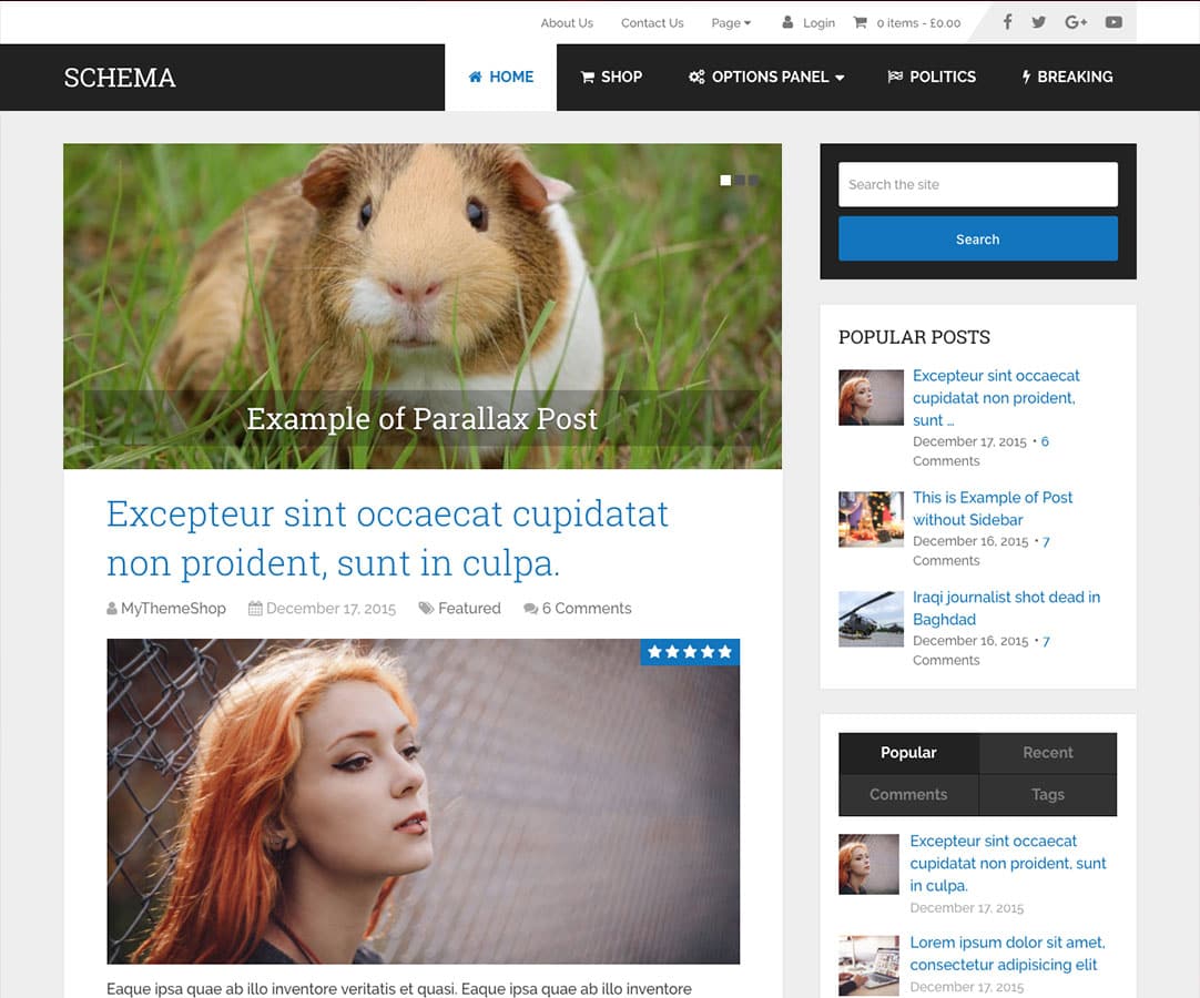 Schema theme screenshot