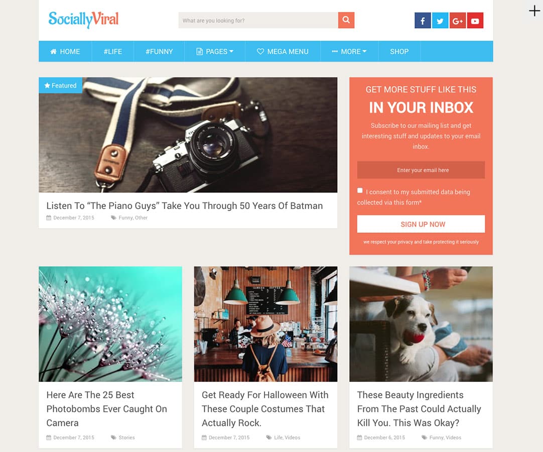 SociallyViral theme screenshot