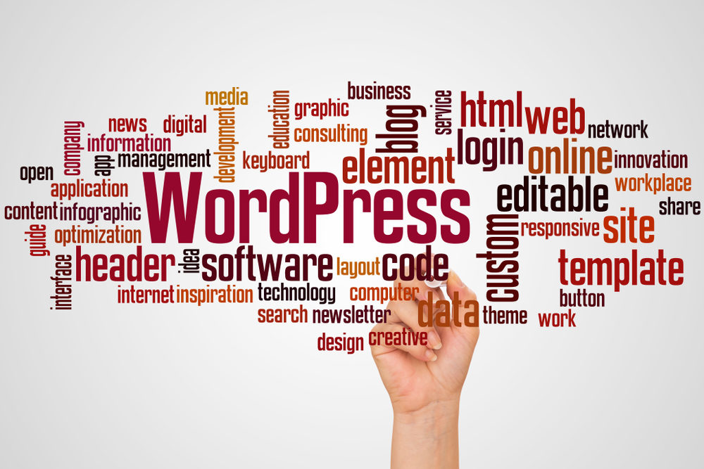 Best WordPress Cache Plugins (Free and Paid)