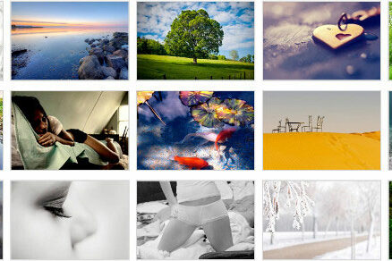 best wordpress gallery plugins