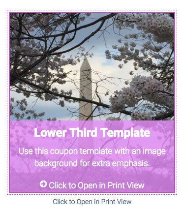 WordPress Coupon Plugins