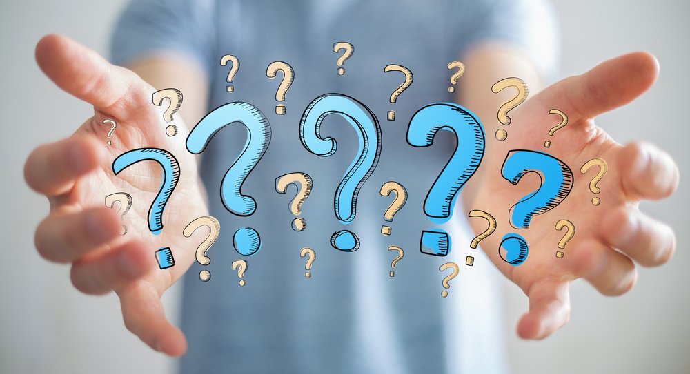 Questions for WordPress developer