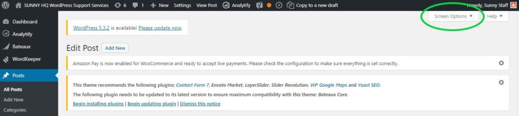 WordPress Screen Options