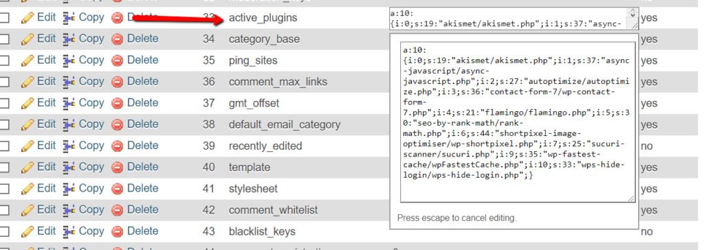WP Options Active Plugins