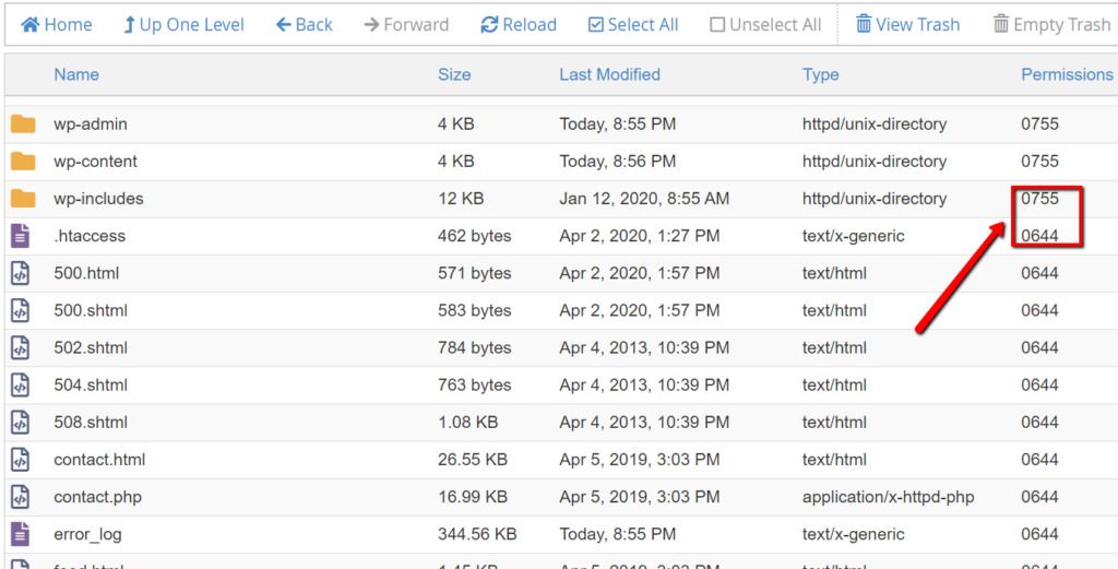 WordPress Permission Problems