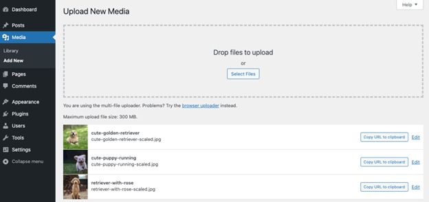 Upload WordPress Media for Blog