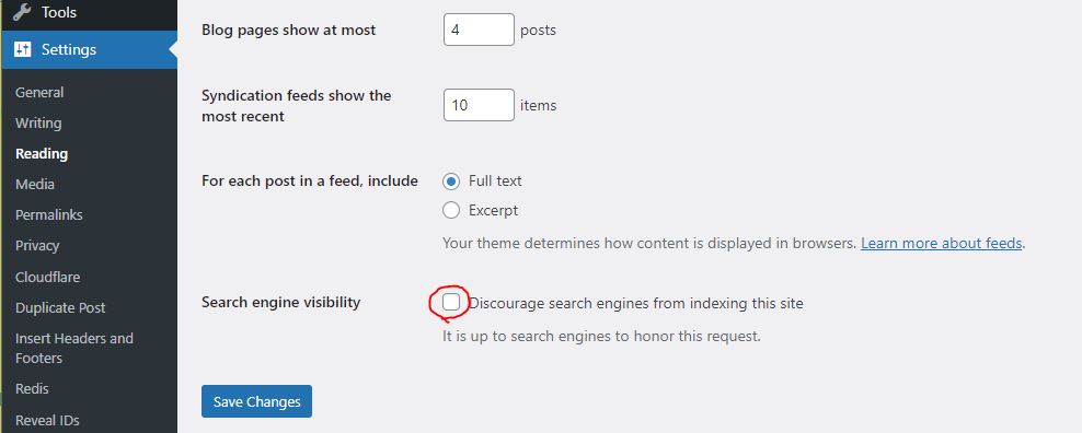 Noindex WordPress Site Checkbox