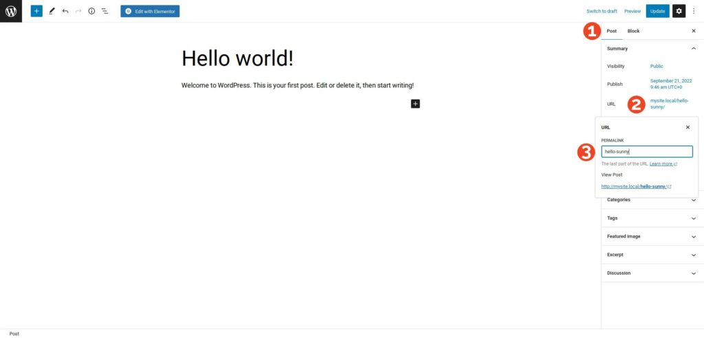 WordPress post edit screen