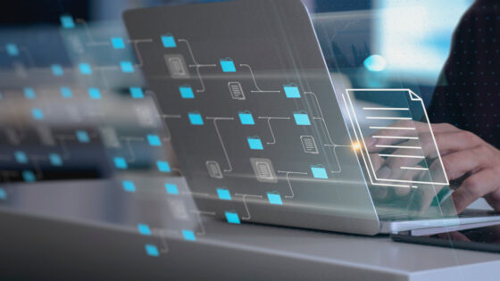 WordPress slugs and content organization