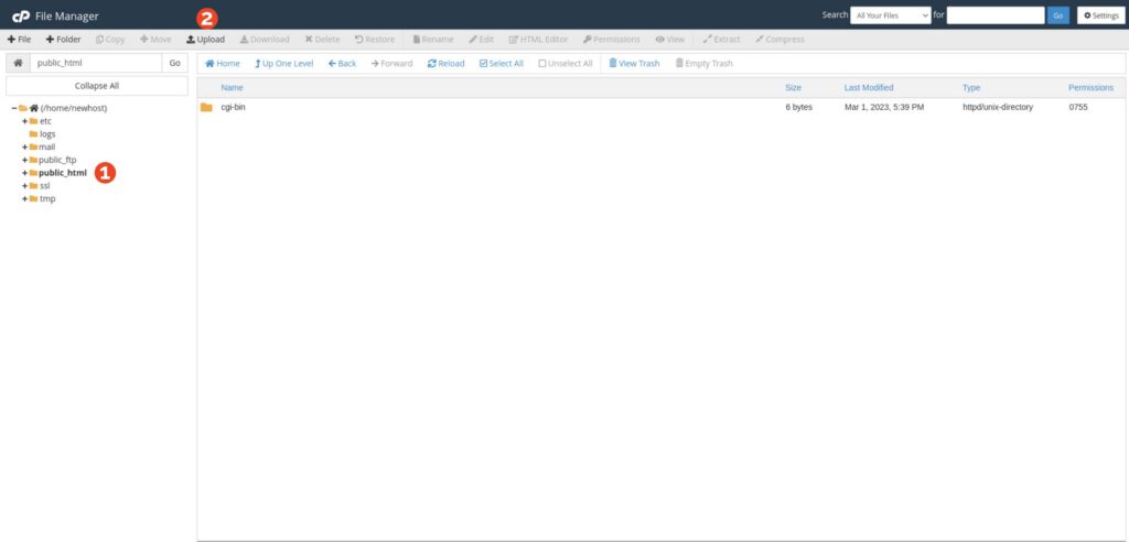cPanel File Manager upload