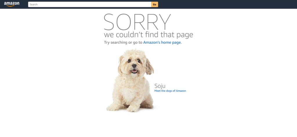 Amazon 404