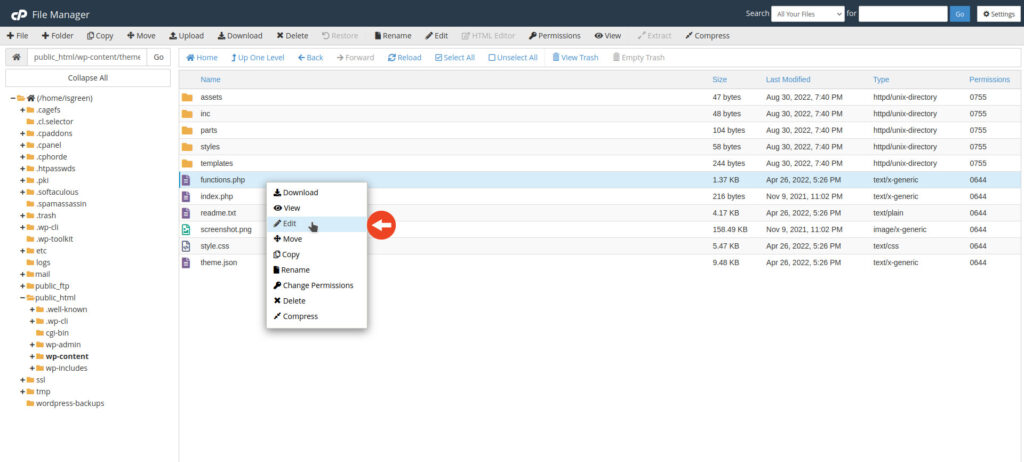 File manager edit functionsphp