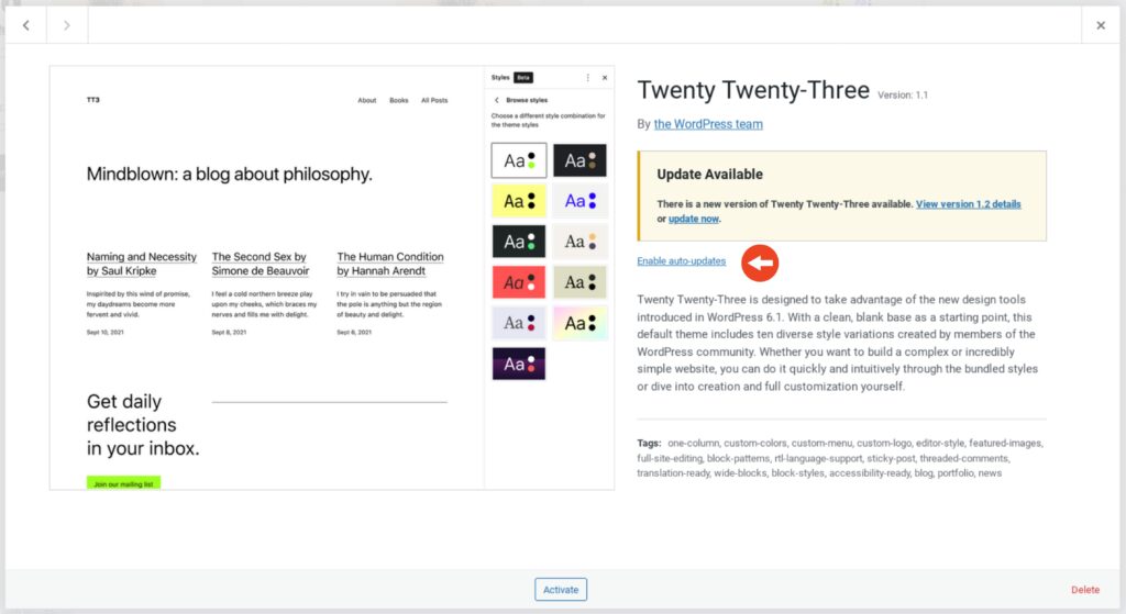 WordPress enable auto theme updates