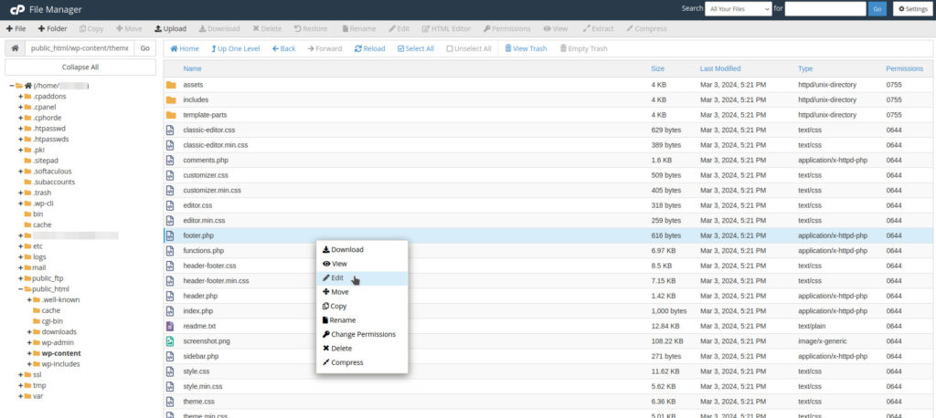 cPanel File Manager Footer